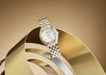 DS-2 Lady C0492102211600