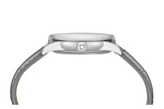 DS-1 Day Date C0294301601101