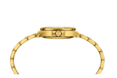 DS Action C0329513336100