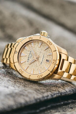 DS Action C0329513336100