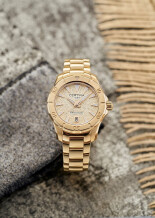 DS Action C0329513336100