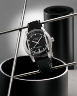 DS Cascadeur C0464102705110