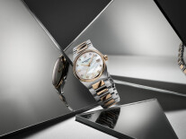 Highlife Ladies Quartz FC240MPWD2NH22B