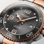 Hydroconquest L37813787