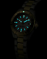 Aquaracer WBD1420BB0321