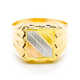 Pánský prsten ze žlutého zlata 9911340669