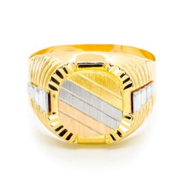 Pánský prsten ze žlutého zlata 9911340675