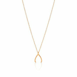 Náhrdelník Wishbone WNECK012