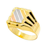 Pánský prsten ze žlutého zlata 9911340669